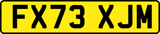 FX73XJM