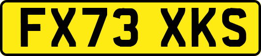 FX73XKS