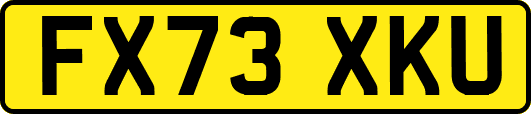 FX73XKU