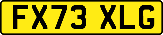 FX73XLG