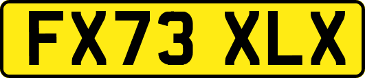 FX73XLX