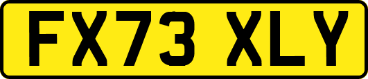 FX73XLY