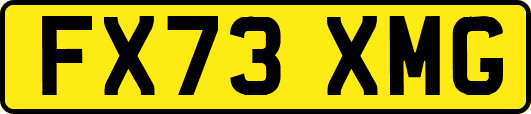 FX73XMG