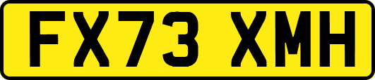 FX73XMH