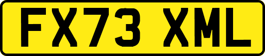 FX73XML