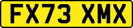 FX73XMX