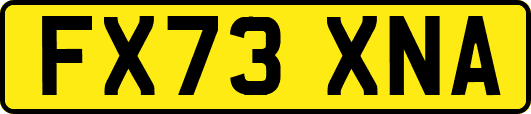 FX73XNA