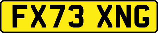 FX73XNG