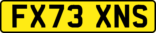 FX73XNS