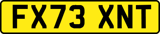 FX73XNT