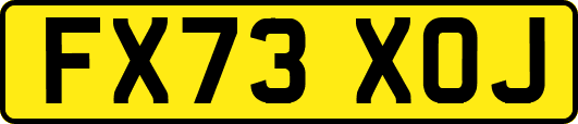 FX73XOJ