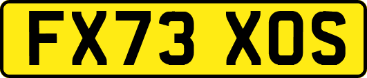 FX73XOS