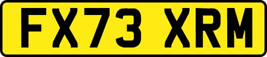 FX73XRM