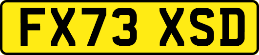 FX73XSD
