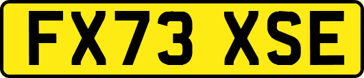 FX73XSE