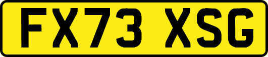 FX73XSG