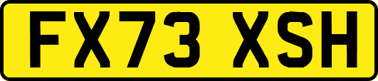 FX73XSH