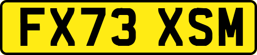 FX73XSM
