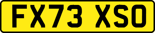FX73XSO