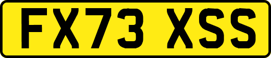 FX73XSS