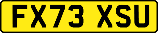 FX73XSU