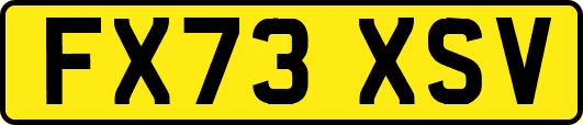 FX73XSV