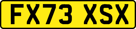 FX73XSX