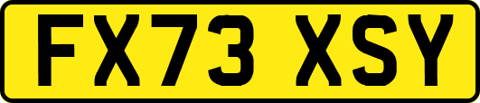 FX73XSY