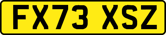 FX73XSZ