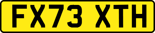 FX73XTH