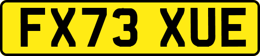 FX73XUE