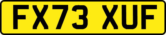 FX73XUF