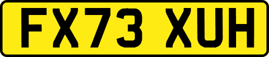 FX73XUH