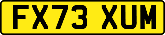 FX73XUM
