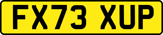 FX73XUP