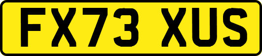 FX73XUS