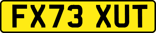 FX73XUT