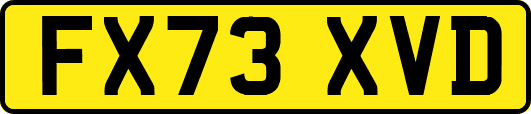 FX73XVD