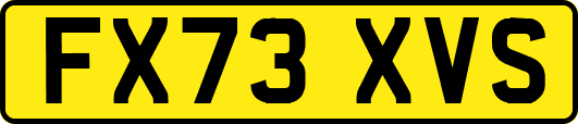 FX73XVS