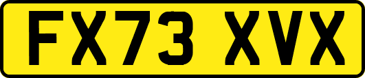 FX73XVX