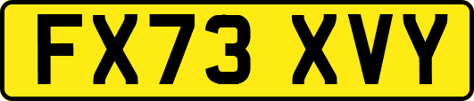 FX73XVY