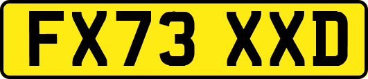 FX73XXD