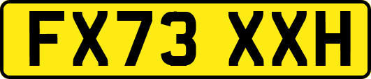 FX73XXH