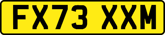 FX73XXM