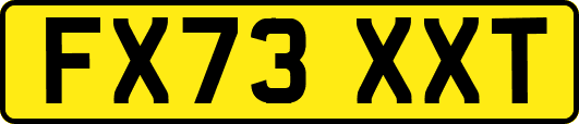 FX73XXT