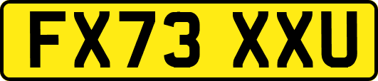 FX73XXU
