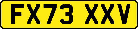 FX73XXV