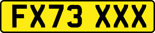 FX73XXX
