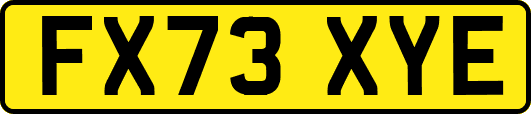 FX73XYE
