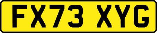 FX73XYG